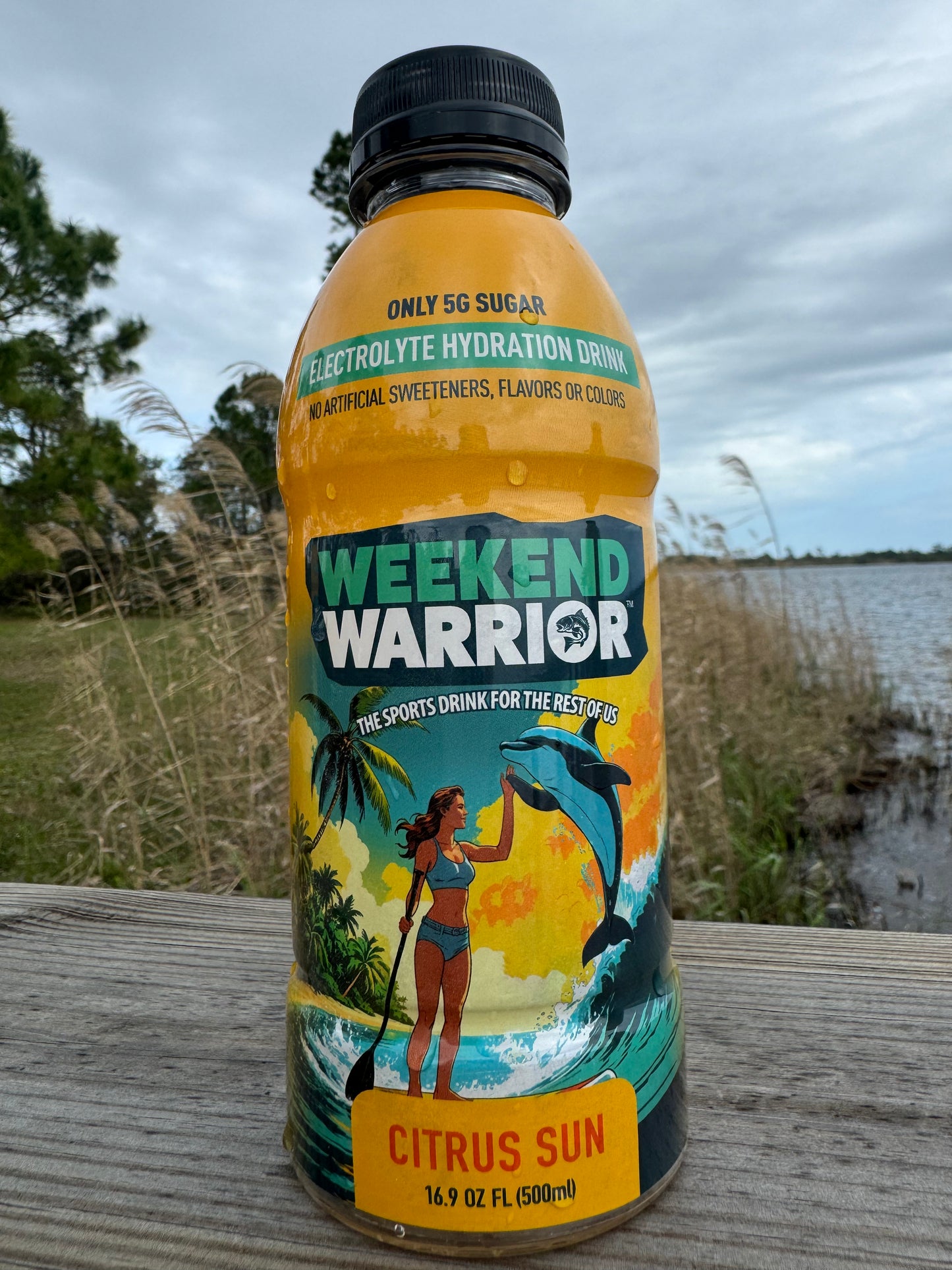 Citrus Sun 12-Pack Case