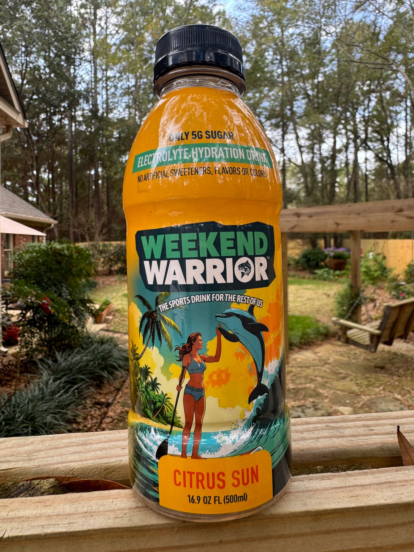 Citrus Sun 12-Pack Case